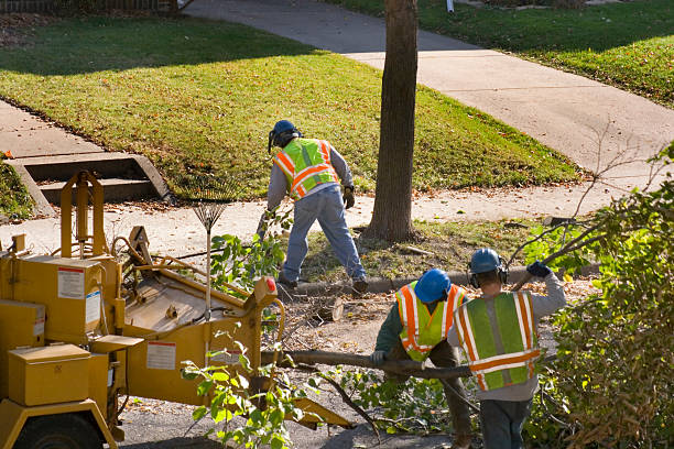 Best Emergency Storm Tree Removal  in Belmont, NC